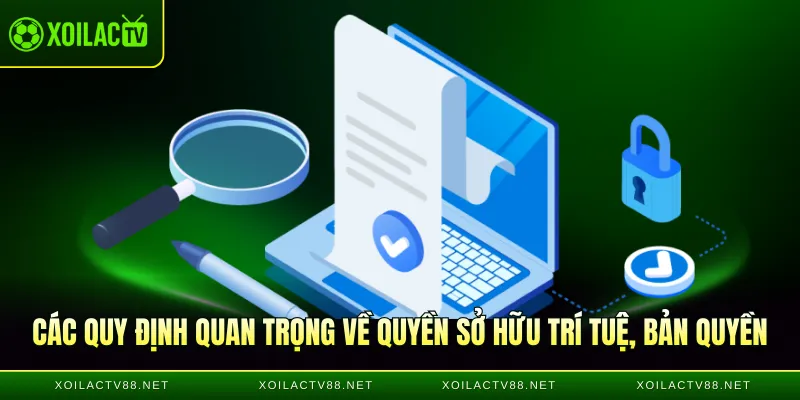 Các quy định quan trọng về quyền sở hữu trí tuệ, bản quyền
